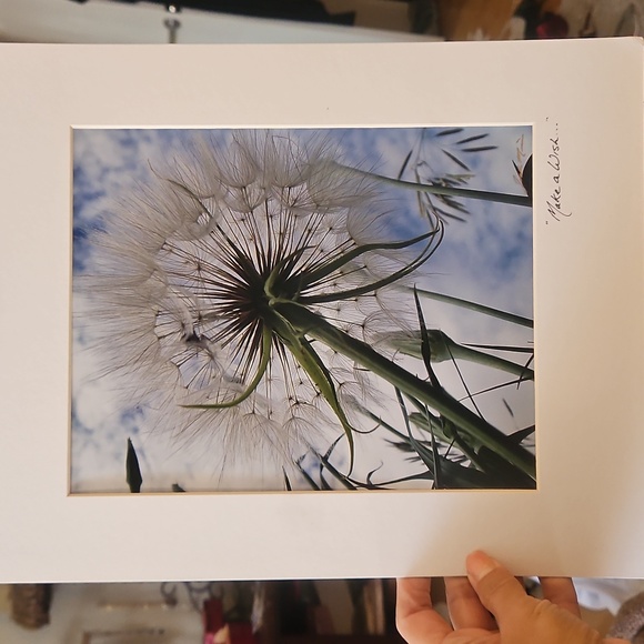 Signed MATTED Original Photography 